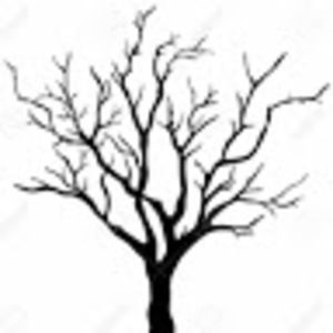 Meet your Posher, Devon